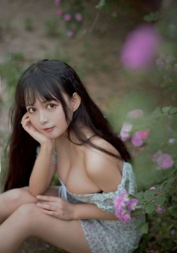 半妖倾城2 电视剧_在线观看